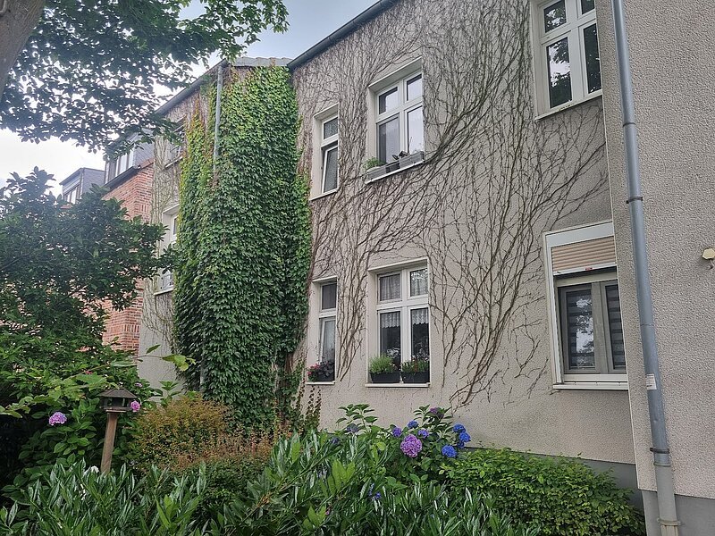 Bild 3 der Mietwohnung in Essen Altenessen-Nord